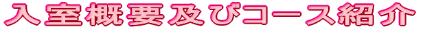 TvyуR[XЉ